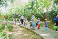 Summer Camp_Week 2 (Dinosaurs World) รหัส 65