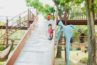 Summer Camp_Week 2 (Dinosaurs World) รหัส 65