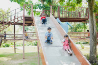 Summer Camp_Week 2 (Dinosaurs World) รหัส 65