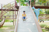 Summer Camp_Week 2 (Dinosaurs World) รหัส 65