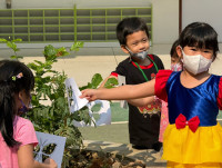 Summer Camp_Week 1 (Fun with Insect) รหัส 66 