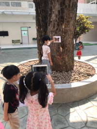 Summer Camp_Week 1 (Fun with Insect) รหัส 66 