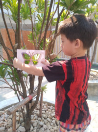 Summer Camp_Week 1 (Fun with Insect) รหัส 66 