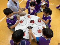 Summer Camp_Week 1 (Fun with Insect) รหัส 66 