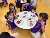 Summer Camp_Week 1 (Fun with Insect) รหัส 66 