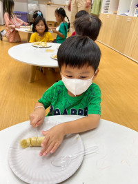 Summer Camp_Week 1 (Fun with Insect) รหัส 66 