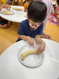 Summer Camp_Week 1 (Fun with Insect) รหัส 66 