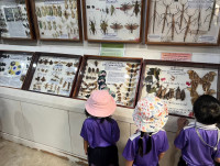 Summer Camp_Week 1 (Fun with Insect) รหัส 66 