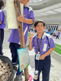 ต้นไม้พูดได้ 