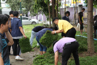 คณะศึกษาศาสตร์ มช. จัดกิจกรรมปรับปรุงภูมิทัศน์ (ปลูกหญ้า) เนื่องในโอกาสพระราชพิธีมหามงคลเฉลิมพระชนมพรรษา 6 รอบ พระบาทสมเด็จพระเจ้าอยู่หัว 28 กรกฎาคม 2567