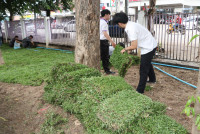คณะศึกษาศาสตร์ มช. จัดกิจกรรมปรับปรุงภูมิทัศน์ (ปลูกหญ้า) เนื่องในโอกาสพระราชพิธีมหามงคลเฉลิมพระชนมพรรษา 6 รอบ พระบาทสมเด็จพระเจ้าอยู่หัว 28 กรกฎาคม 2567