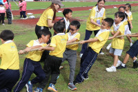 Sport Day 2024