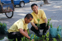  คณะศึกษาศาสตร์ มช. จัดกิจกรรมเนื่องในวันคล้ายวันพระบรมราชสมภพ พระบาทสมเด็จพระบรมชนกาธิเบศร มหาภูมิพลอดุลยเดชมหาราช บรมนาถบพิตร วันชาติ และวันพ่อแห่งชาติ ประจำปี 2567