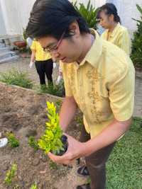  คณะศึกษาศาสตร์ มช. จัดกิจกรรมเนื่องในวันคล้ายวันพระบรมราชสมภพ พระบาทสมเด็จพระบรมชนกาธิเบศร มหาภูมิพลอดุลยเดชมหาราช บรมนาถบพิตร วันชาติ และวันพ่อแห่งชาติ ประจำปี 2567