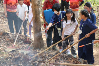 Wildfire to PM 2.5 (ป.4) ปีการศึกษา 2567