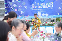 จ๊างหน้อยปิ๊กดอย