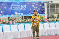 จ๊างหน้อยปิ๊กดอย