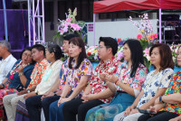 จ๊างหน้อยปิ๊กดอย