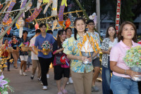 จ๊างหน้อยปิ๊กดอย