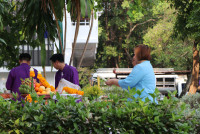 รดน้ำดำหัวอธิการบดี และ คณาจารย์อาวุโสของคณะฯ