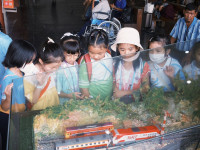 Railway Quest ภารกิจค้นหาข้อมูลก่อนเดินทาง ป.3