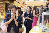ขึ้นดอย 2568