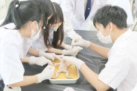 Frog Anatomy ป.6