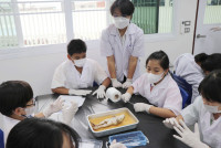 Frog Anatomy ป.6