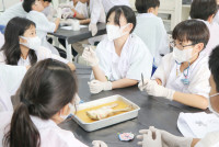 Frog Anatomy ป.6