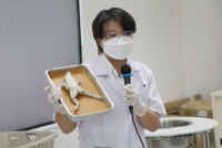 Frog Anatomy ป.6