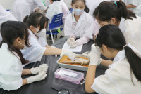 Frog Anatomy ป.6