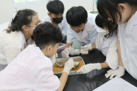 Frog Anatomy ป.6
