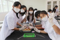 Frog Anatomy ป.6