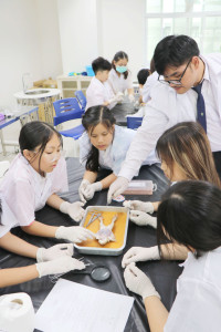 Frog Anatomy ป.6