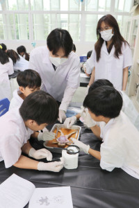 Frog Anatomy ป.6