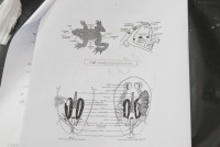 Frog Anatomy ป.6