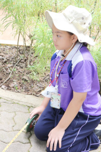 Smart unit The Eco-idea gallery กิจกรรม Carbon credits ป.5/2568
