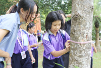 Smart unit The Eco-idea gallery กิจกรรม Carbon credits ป.5/2568