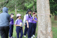 Smart unit The Eco-idea gallery กิจกรรม Carbon credits ป.5/2568
