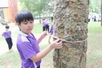 Smart unit The Eco-idea gallery กิจกรรม Carbon credits ป.5/2568