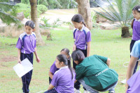 Smart unit The Eco-idea gallery กิจกรรม Carbon credits ป.5/2568