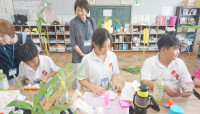 Ohaya! Japan - International Cultural Exchange Program 2025 สำหรับนักเรียนชั้น ป.6
