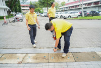 ถวายพระพร ร.10