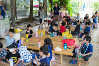 Ginger Farm K3/68