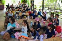 Ginger Farm K3/68
