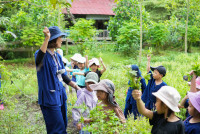 Ginger Farm K3/68