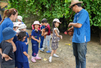 Ginger Farm K3/68