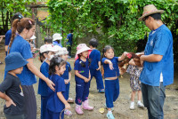 Ginger Farm K3/68