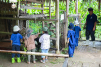Ginger Farm K3/68