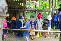 Ginger Farm K3/68